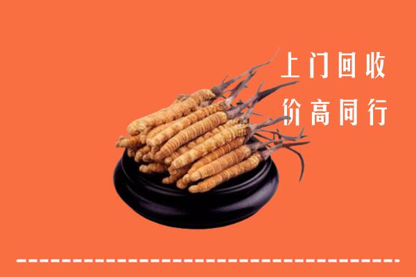高价求购：葫芦岛市兴城市回收散虫草
