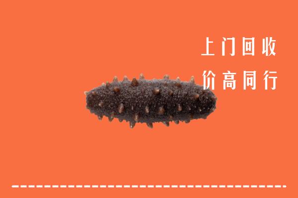高价求购：葫芦岛市兴城市回收海参