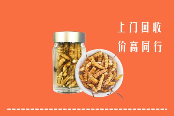葫芦岛市兴城市回收冬虫夏草